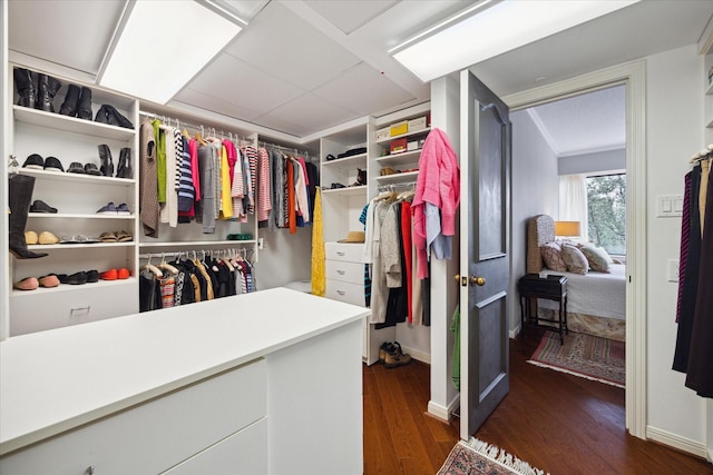 walk in closet with dark hardwood / wood-style floors