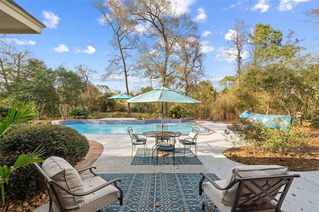 view of pool featuring a patio area