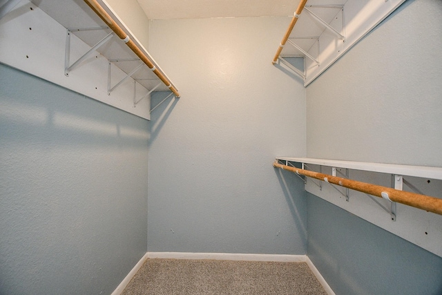 spacious closet with carpet flooring