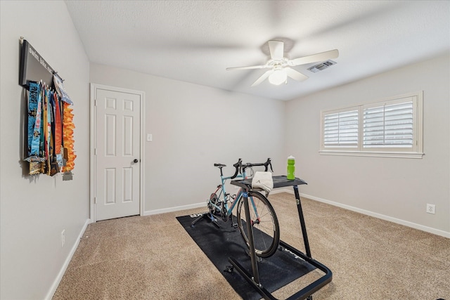 workout area featuring ceiling fan and carpet