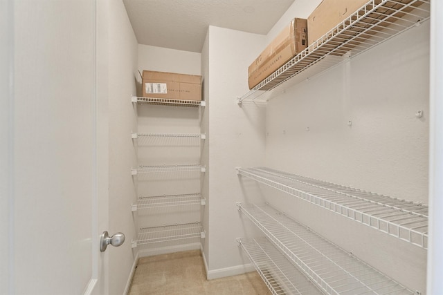 walk in closet with light carpet