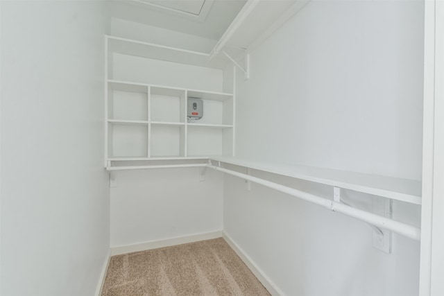 spacious closet featuring light carpet