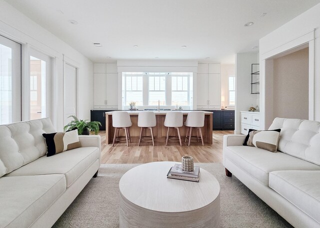 living room featuring light hardwood / wood-style flooring