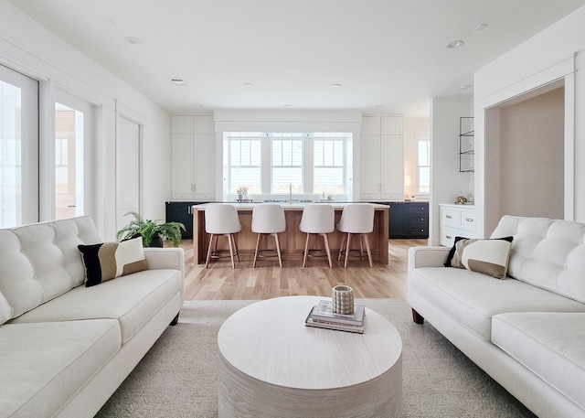 living room with light hardwood / wood-style floors