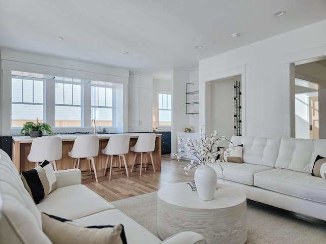 living room featuring light wood-type flooring