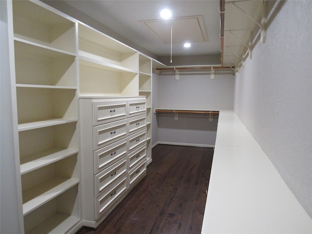 spacious closet with dark wood-type flooring