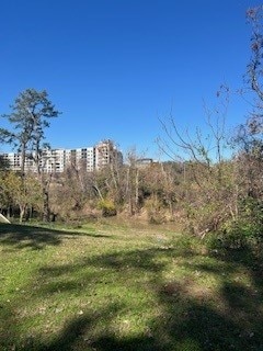 view of local wilderness