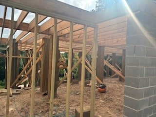 24 Tiel Way, Houston, TX 77019 - view of unfinished attic