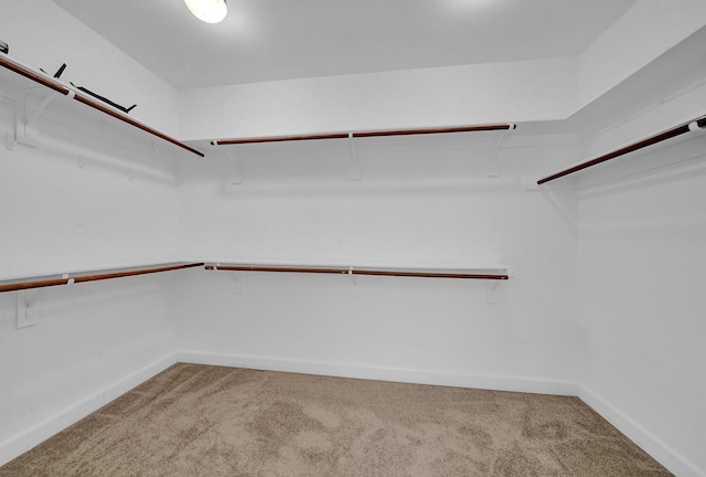 spacious closet with carpet