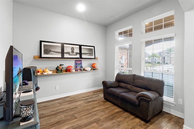 living room with hardwood / wood-style floors