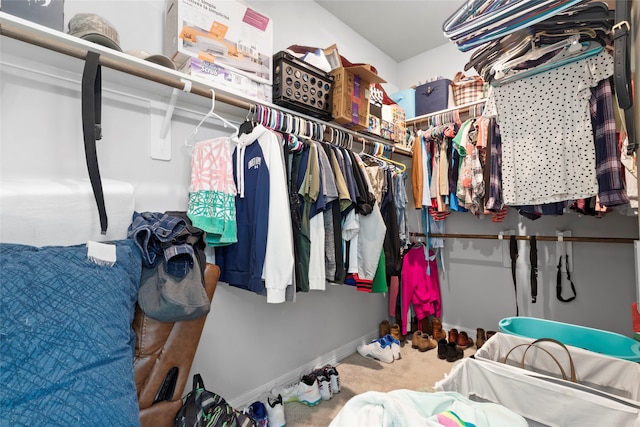 walk in closet featuring carpet flooring