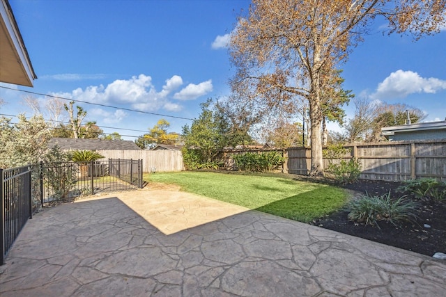 view of yard featuring a patio area