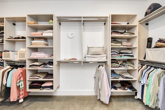 spacious closet with carpet floors