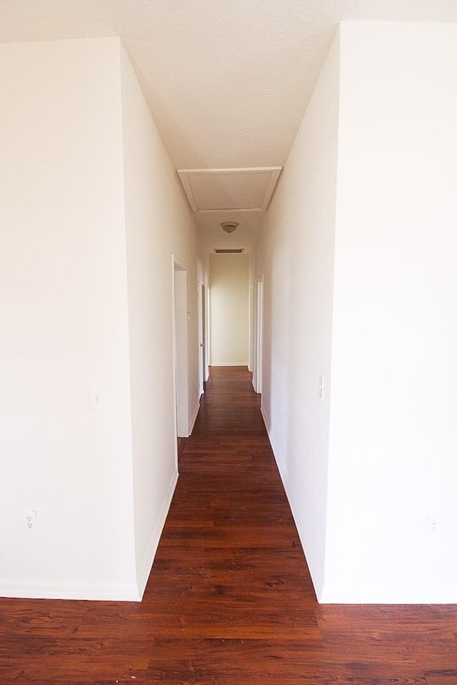 hallway with dark hardwood / wood-style flooring