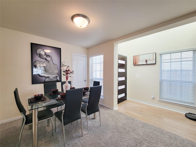 dining space featuring carpet floors