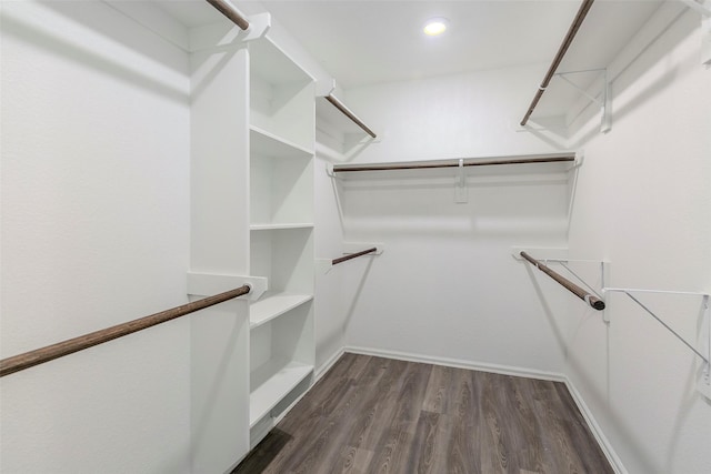 walk in closet featuring dark hardwood / wood-style flooring