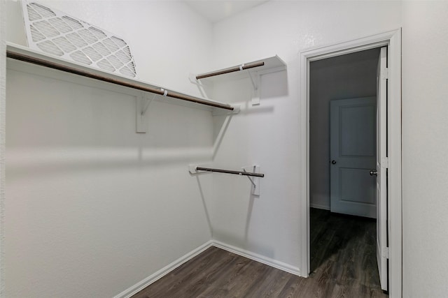 spacious closet with dark hardwood / wood-style flooring