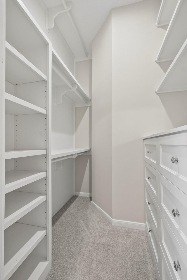 spacious closet featuring light colored carpet