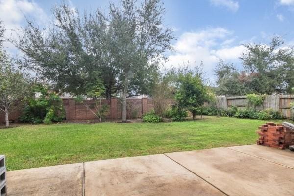 view of yard featuring a patio