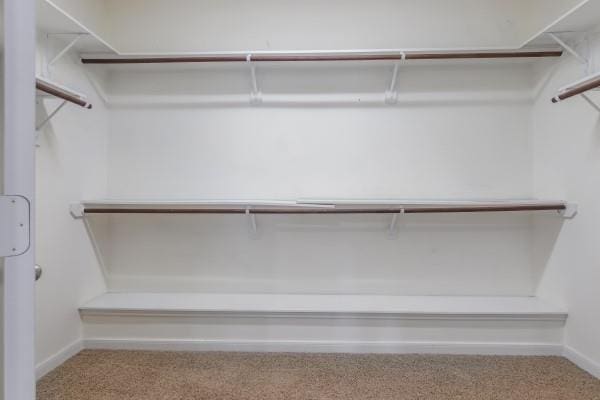 walk in closet with carpet