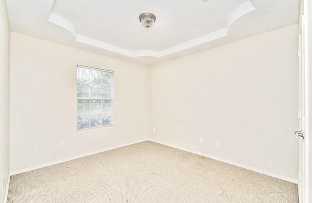 spare room with carpet and a raised ceiling