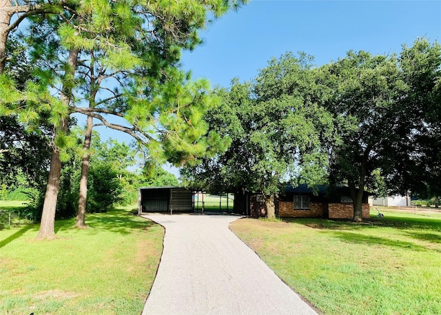 view of community featuring a yard