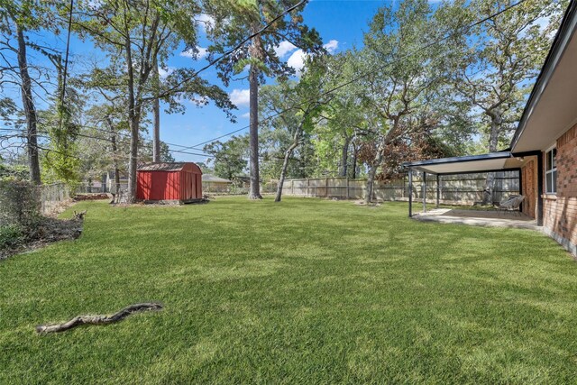 view of yard featuring a storage shed and a patio