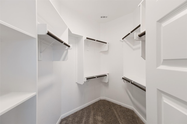 walk in closet featuring carpet flooring