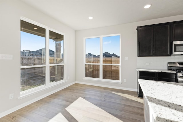 unfurnished dining area with light hardwood / wood-style floors, a wealth of natural light, and a mountain view