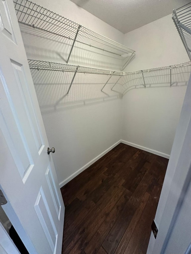 walk in closet featuring dark hardwood / wood-style flooring