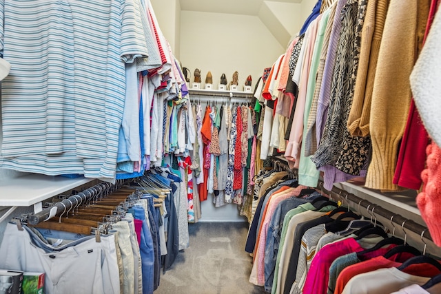 spacious closet featuring carpet floors