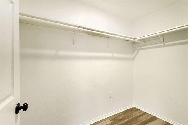 walk in closet with wood-type flooring