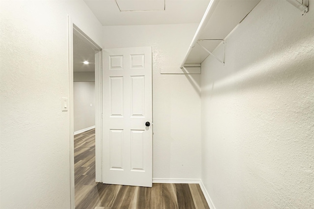 spacious closet with dark hardwood / wood-style floors