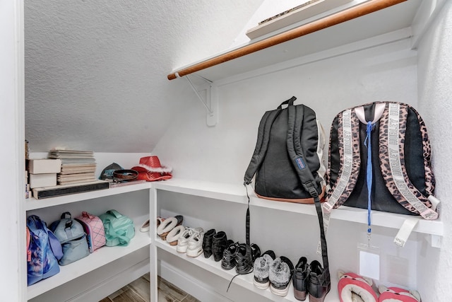 spacious closet featuring wood-type flooring and lofted ceiling