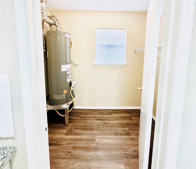 utility room with gas water heater