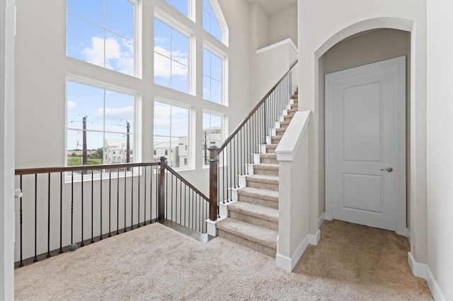 stairs featuring carpet flooring, a high ceiling, and a wealth of natural light