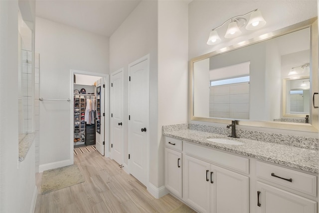 bathroom featuring wood-type flooring and vanity