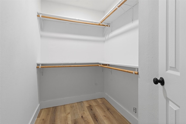 spacious closet featuring wood-type flooring