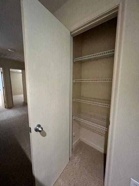 view of closet