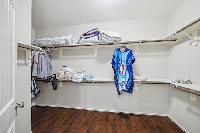 walk in closet with dark wood-type flooring