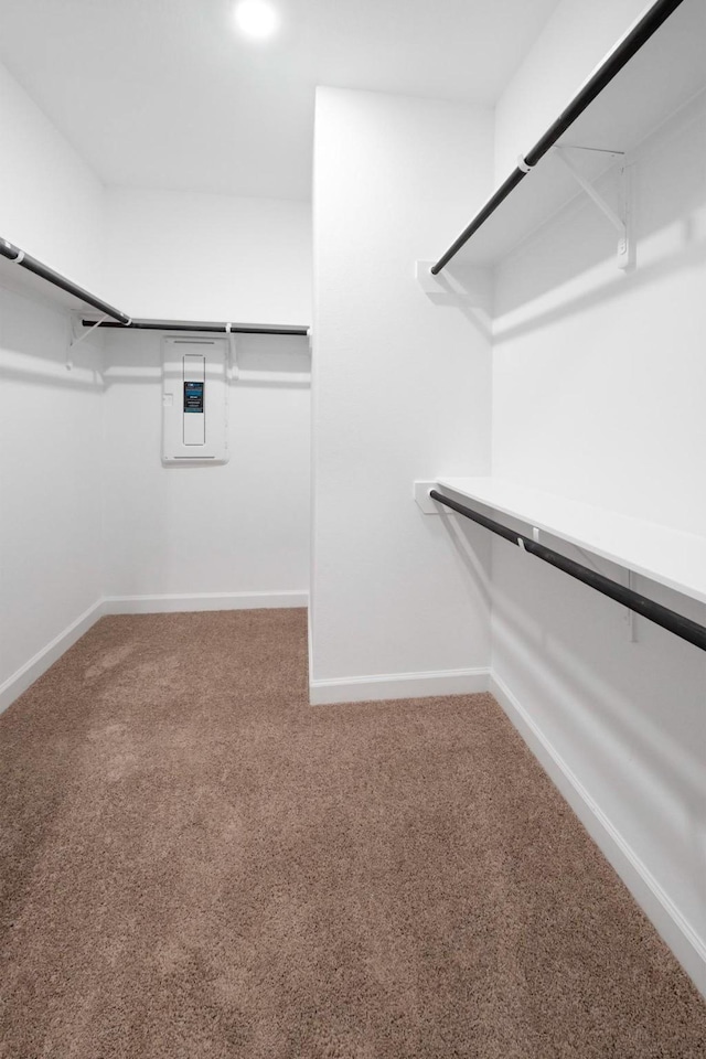 spacious closet featuring carpet floors and electric panel