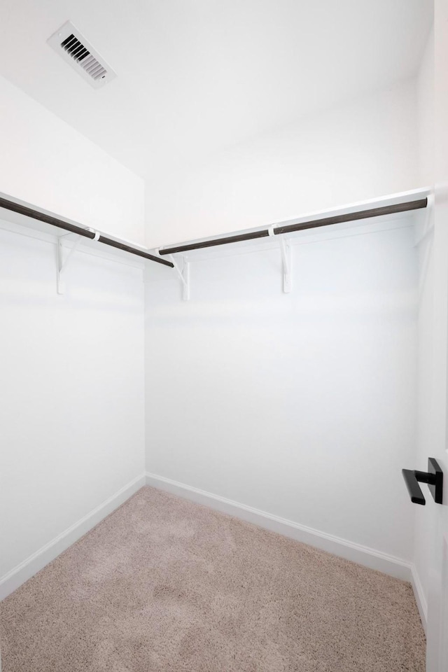 spacious closet featuring carpet