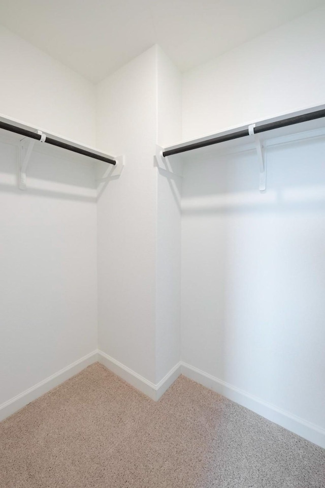 walk in closet with carpet