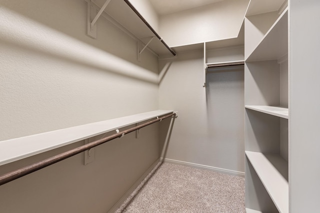 walk in closet featuring light colored carpet