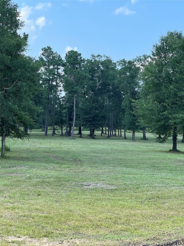 25750 Johnson Rd, Montgomery TX, 77356 land for sale