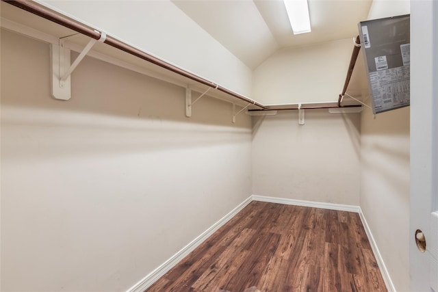 spacious closet with dark hardwood / wood-style flooring and vaulted ceiling