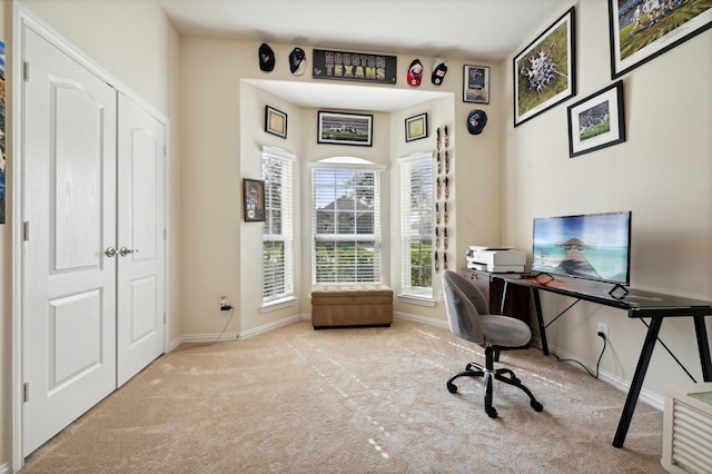 office featuring light carpet