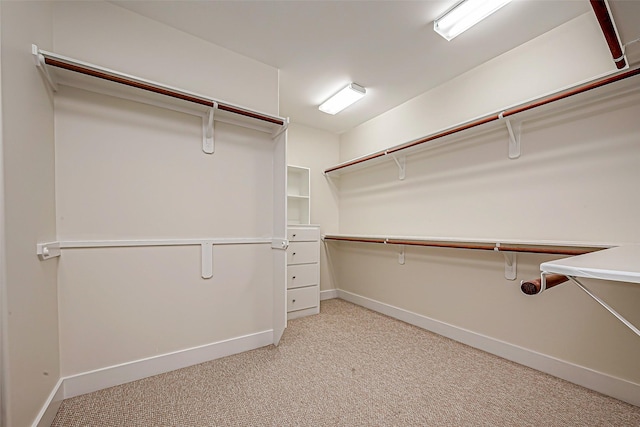 spacious closet with light carpet