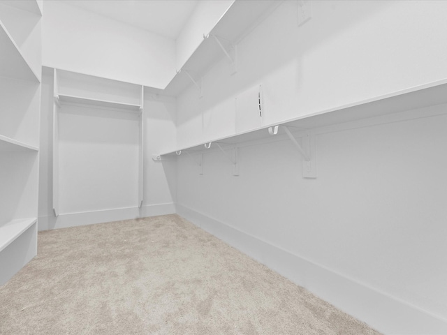 walk in closet with light carpet