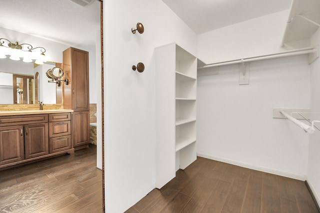 spacious closet featuring dark hardwood / wood-style floors